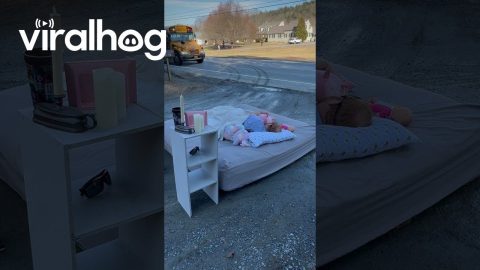 Dad Embarrasses Kids By Sleeping At Bus Stop || ViralHog