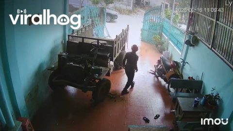 Out of Control Truck Crashes Through Gate || ViralHog