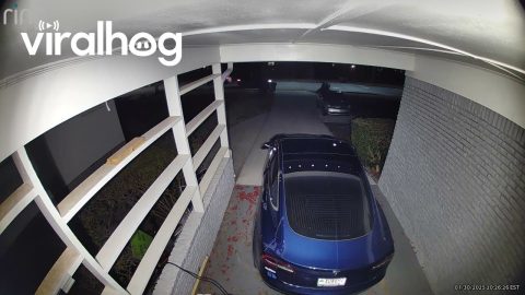 Apparent Thief Unlocks Tesla || ViralHog