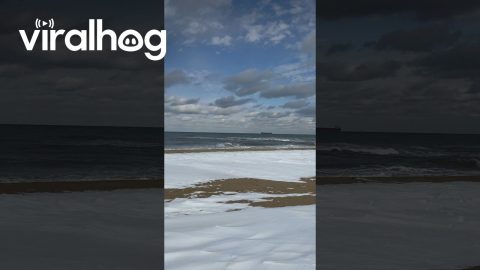 Snow On Virginia Beach || ViralHog