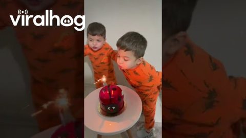 Twins Tussle Over Birthday Candle || ViralHog