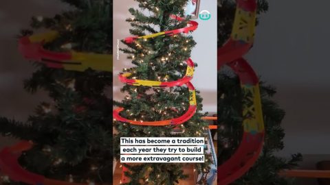 Ultimate Hot Wheels Christmas Tree Course || ViralHog