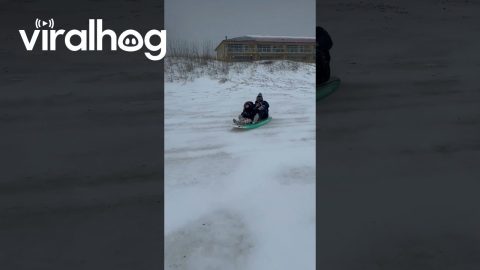 Sledding on the Beach || ViralHog
