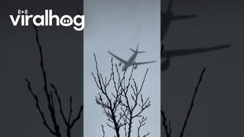 Plane Engine Experiences Small Engine Fire Mid-Flight || ViralHog