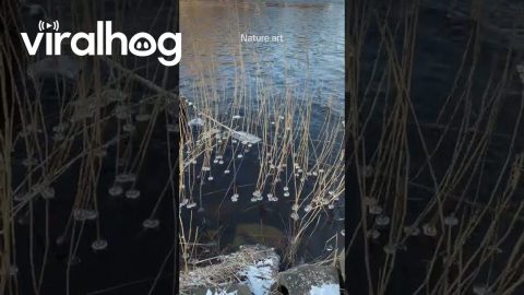 Ice Rings Dance In Shifting Water || ViralHog