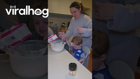 Mom Accidentally Covers Son In Sugar || ViralHog