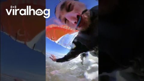 Kiteboarder Flies Beneath Windsurfer || ViralHog
