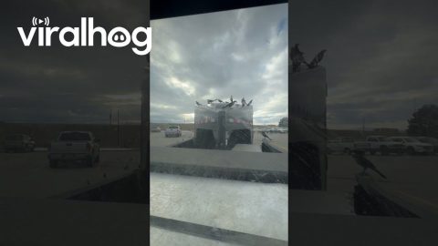 I Feel Like This is an Omen || ViralHog