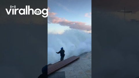 Unexpectedly Strong Wave Crashes Over Embankment || ViralHog
