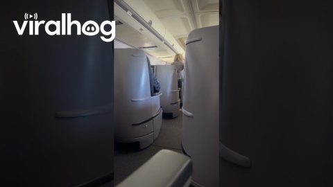 Airplane Passenger Exercises in Her Seat || ViralHog