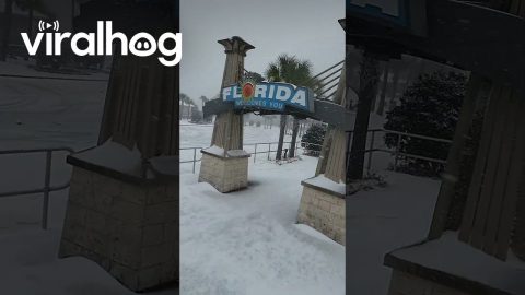 Drone Flies Through Unusually Snowy Florida || ViralHog