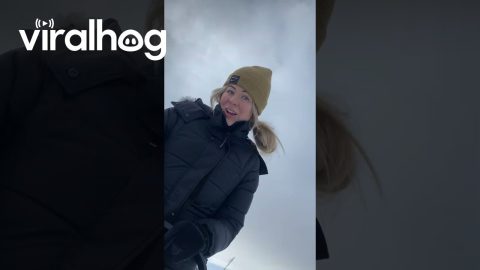 Dog Sledding In Big Sky Country || ViralHog
