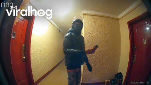 Food Delivery Driver Grabs Neighbor's Boots || ViralHog
