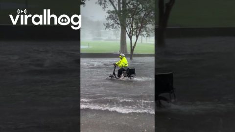 Bicycle Courier Rides Through Flooded to Street to Make Delivery || ViralHog