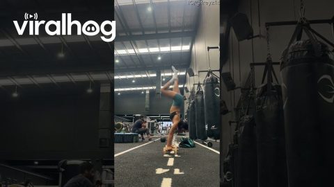 Gym Faceplant || ViralHog