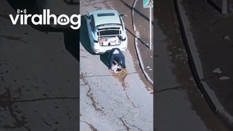 Man Fixes Pothole In Road || ViralHog