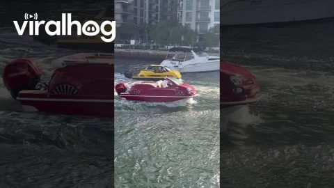 Taxi Cab Boats In Miami || ViralHog