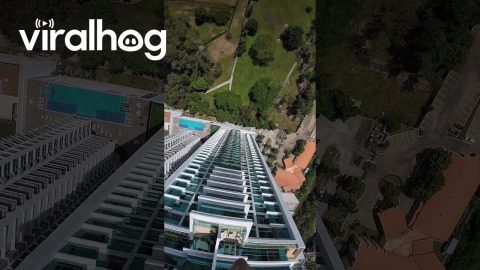 BASE Jump Off a Building || ViralHog
