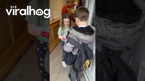 7-Year-Old Gives His Valentine a Present || ViralHog