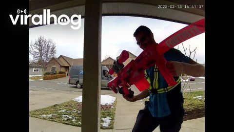 Delivery Man Plays With Giant Nerf Blaster || ViralHog