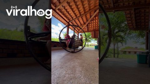 Hanging Chair Fall || ViralHog