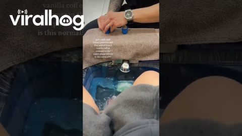 Coffee Creamer Added To Pedicure Water || ViralHog