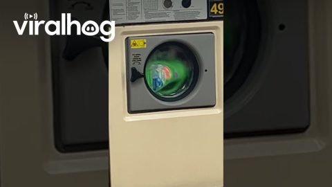 Detergent Bottle Washed At Laundromat || ViralHog