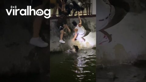 Group Work Together To Rescue Dog Drowning In Water Canal || ViralHog