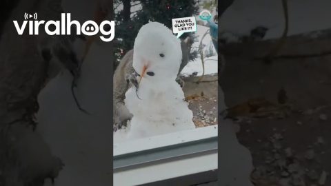 Squirrel Sculpts Snowman || ViralHog