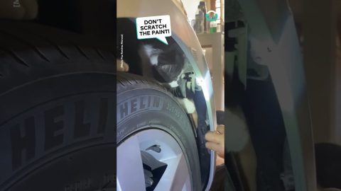Mechani-Cat Helps With Car Repairs || ViralHog