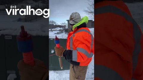 Sledding Innovation || ViralHog