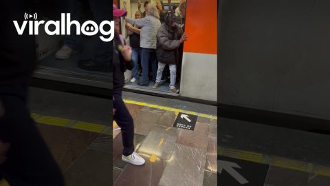 Boozy Batman Takes The Train || ViralHog