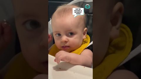 Dad's Singing Is Not Appreciated || ViralHog