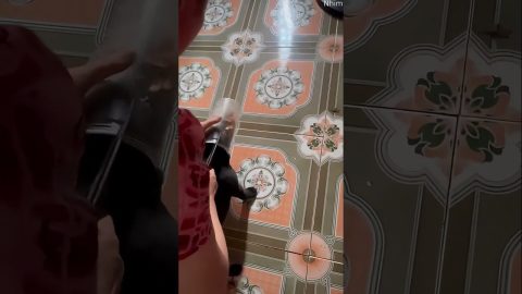 Scissors Used To Remove Trapped Puppy || ViralHog