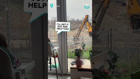 Son Enjoys Watching an Excavator || ViralHog
