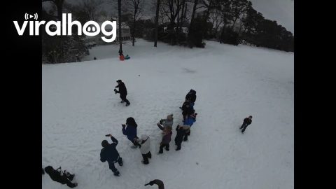 Christmas Hill Sledding || ViralHog