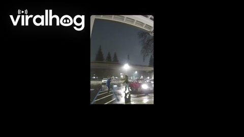 Neighbors Record Dance In Parking Lot || ViralHog