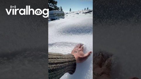 Satisfying Snow || ViralHog