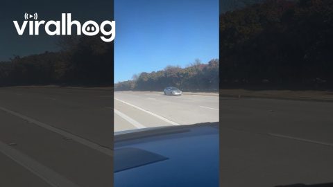 Car Drives in Reverse Down Interstate || ViralHog