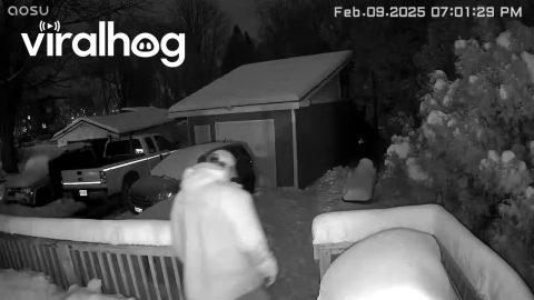 Man Slips In Snow At The End Of A Long Day || ViralHog