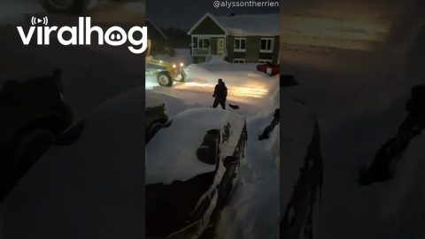 Don’t Clear Your Driveway Until The Plow Goes By || ViralHog