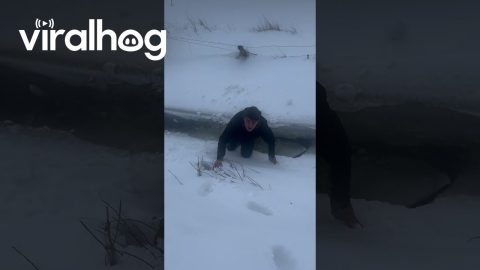 Man Fall Through Ice on Frozen Stream || ViralHog