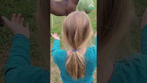 Little Horse Plays Ball || ViralHog