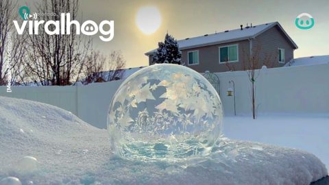 Beautiful Frozen Soap Bubbles || ViralHog