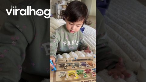 Zen Child Solves Frustration With Breathing Exercise || ViralHog