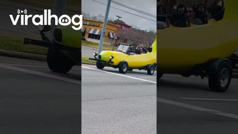 Banana Mobile || ViralHog