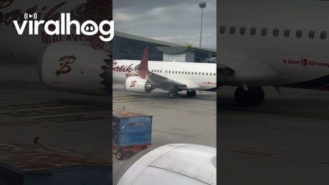 Plane Dumps Garbage || ViralHog