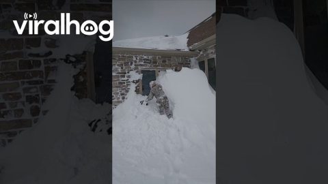 Aftermath of Being Snowed In || ViralHog