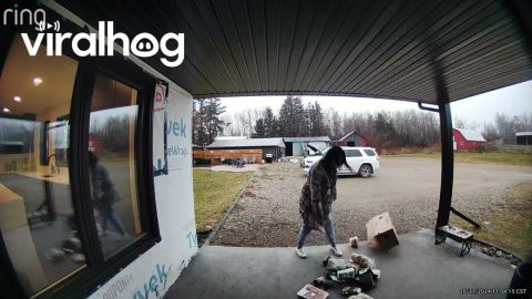 Barbeque Sauce On Everything After Box Bottom Breaks || ViralHog