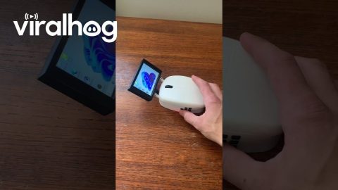 I Put A PC In My Computer Mouse || ViralHog